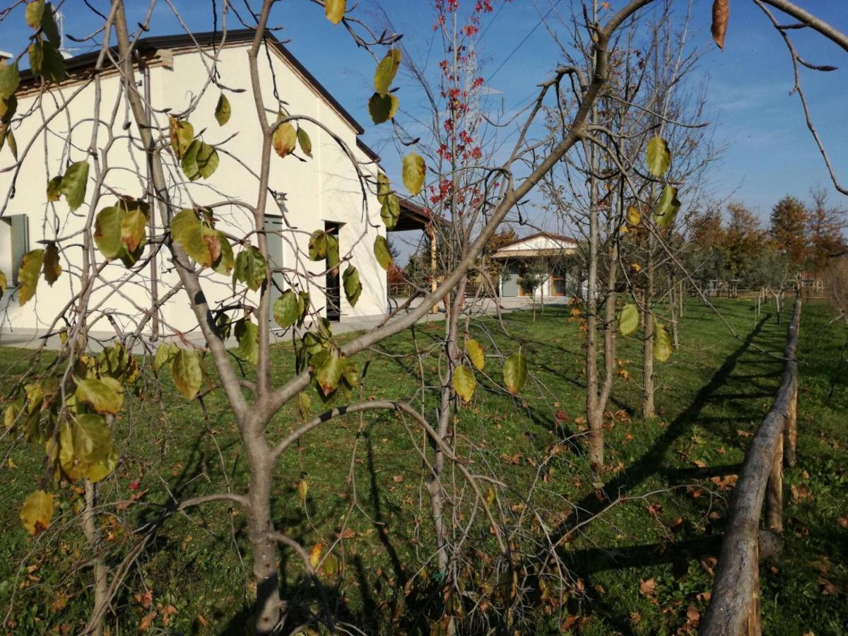Agriturismo Corte Benetti Rovigo Exterior photo